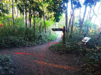 ここで分岐。道標には書いてないけど直進するとテイクオフ場がある。昼間の景色を見ておきたいのでテイクオフ場に立ち寄る