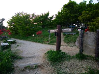 ツツジ園を登りきると葛城山頂まであと0.4kmとなっている