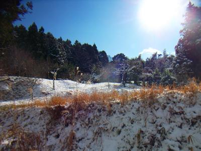今日は快晴で青空も出てる。青と白のコントラストに期待