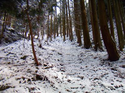 雪道でトレースはないけどそこまで積もってるわけじゃないので道はわかりやすい