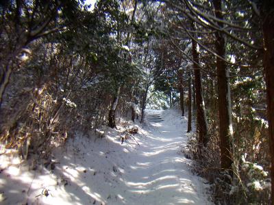 やっと歌垣山の尾根の取り付きが見えた