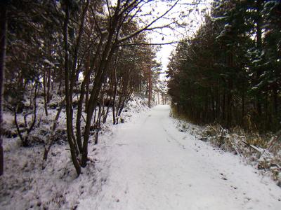 続いて尾根を戻る感じで女山を目指す