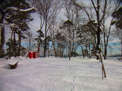 女山山頂も真っ白になっていた