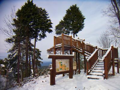 これが女山山頂にある展望台。男山に比べるとこっちのほうが山の頂上って雰囲気はあるかな！？