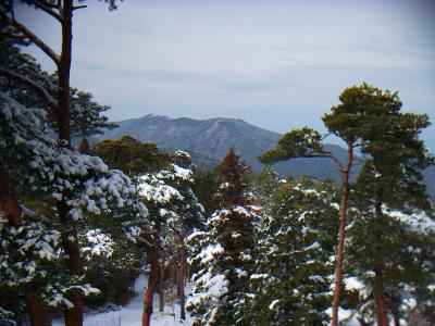 展望台からの展望で、向こう側にうっすらはげている山はおそらく深山だろうね