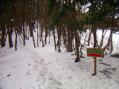 看板までは雪に埋もれてないしトレースもあるので迷うことはない