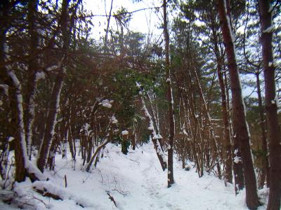 結構トレースがついてるけどいろんな人が登ったのかな！？