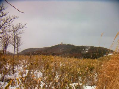 深山の山頂（雨量観測所）が見えた。ここから見ると結構な距離ありそうだけどね