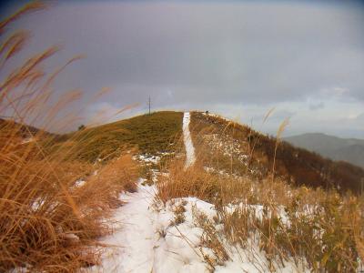 ススキに囲まれた雪道を歩いていく。曇ってしまった