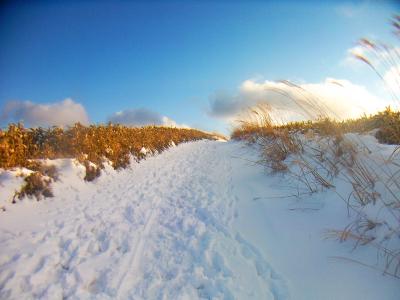 歩いてるとまた青空がでてきたけど、分厚い雲がやってくる。晴れたり曇ったりの天気