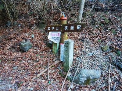 ここは当然、武甲山のほうへ行く。あとは、まあ冬だから熊はいないだろう