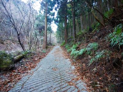 沢沿いの林道をあがっていく。ここから結構な長い坂道が続く