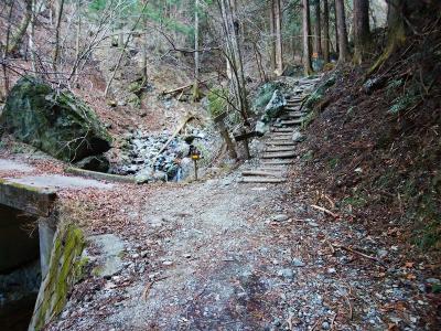 ここが林道終点で登山道入り口となる。左でなく直進する