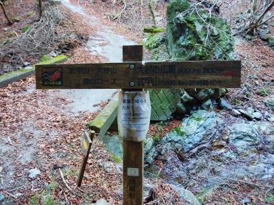 ここから武甲山まで1時間40分もかかると書かれてるけど、本当にそのぐらいかかる