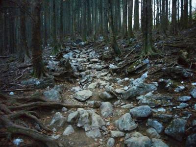 大杉の広場からの登りはしばらくの間、歩きにくいガレ場になる。下山時はちょっと足元に注意しないといけない