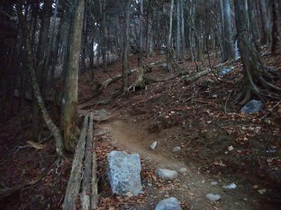 上が明るくなった。おそらく尾根の合流地点があの辺りだろう