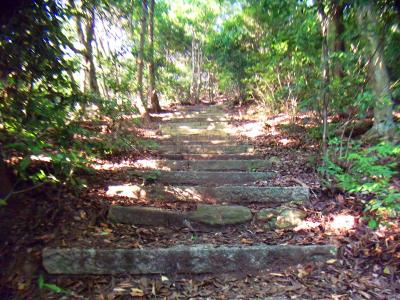 しばらく妙見堂跡までこのような階段が続く