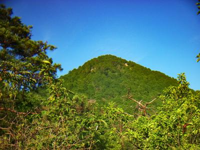 二越からの三上山のピークを見る。まだちょっと高いな