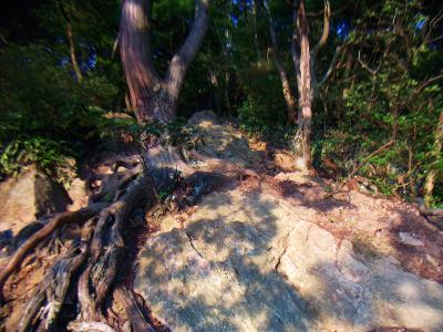 ここから山頂まで岩場の登りが続く