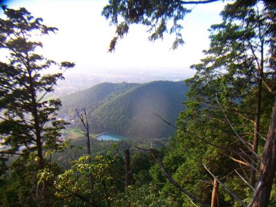 展望が見えてきた