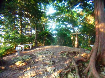 三上山の山頂かな。樹林に囲まれた中に広いところがあった