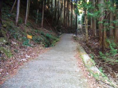 少しの間舗装道をあがっていく