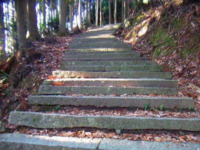 こういう階段道がしばらく続く