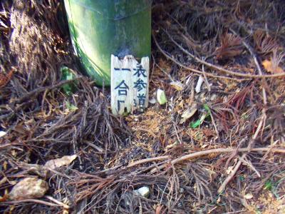 ここが一合目！？