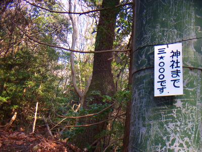 神社まで3000mってことかな！？