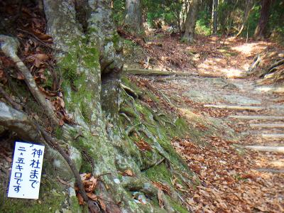 山頂まで2.5km、ここから少しいくと5合目なので、ちょうど半分の距離ぽい