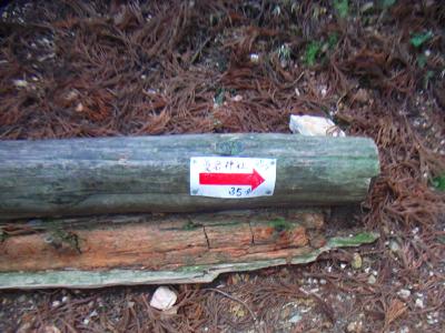 水尾分岐付近。あと35分らしいけど、そんなにかからなかったかも・・・