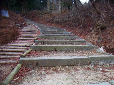 水尾分岐くらいからこのような長い階段が続く