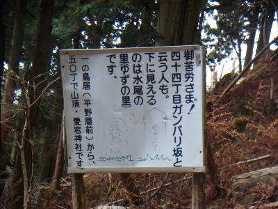 ガンバリ坂というらしいが、確かに階段だらけ・・・