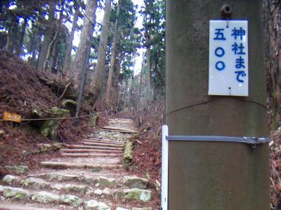 階段は続いているけど、あと500mまできた