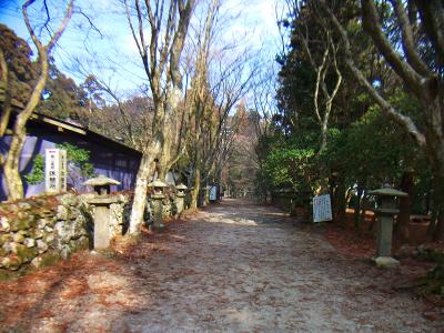 階段を登りきった付近。神社内って感じのする道だね