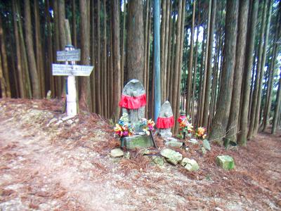 ここの分岐点は竜ヶ岳、地蔵山のほうへ向かうので画像の左側の道というか直進で！