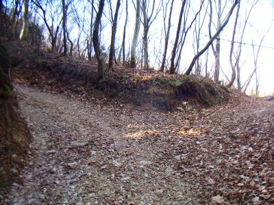 しばらく道なりにいっているとこのような分岐点に出る。ここを右側へ。そしてよーくみると何か標識があった