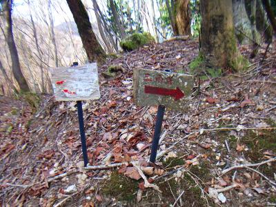 三角点の方向が書いているので、右へ登っていく