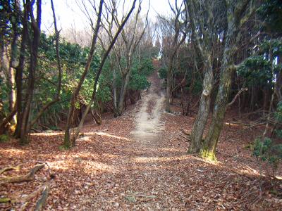 このピークを登りきると三角点