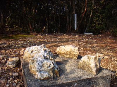 標高890.06mの三等三角点