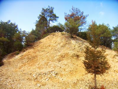 下のテーブルらしき付近からみた三角点ピーク