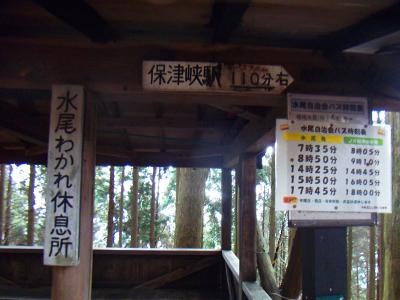 三角点より水尾分岐まで戻り、水尾へ下っていき、JR保津峡駅へ