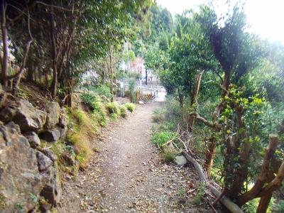 やっと道路が見えた。これで登山道が終わる