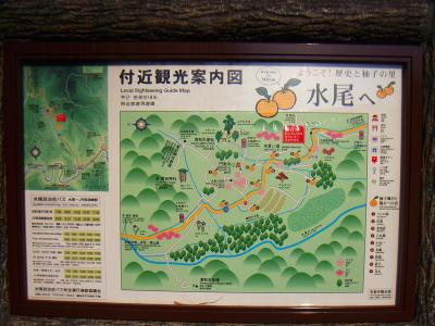 柚子の里で柚子の温泉に入っていこうか考えていたけど、準備してなかったし辞めにした