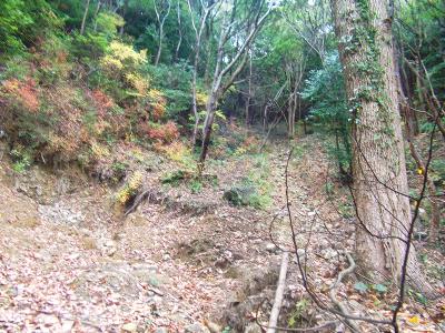 結構荒れた登山道になっている