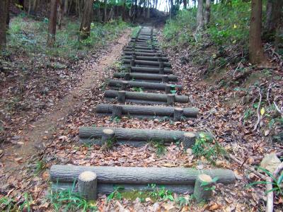 この階段を登りきれば尾根にでる