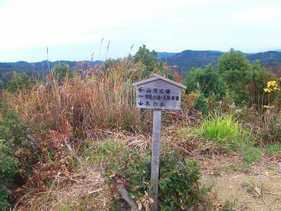 続いて山頂広場へ向かう