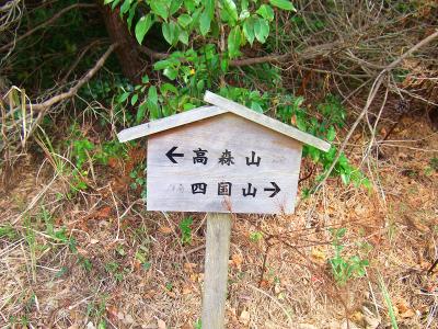 次に高森山を目指す