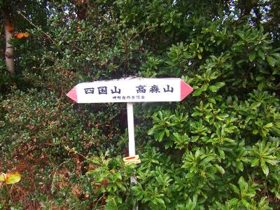 これも高森山のほうへ。ここ道標いるかな！？