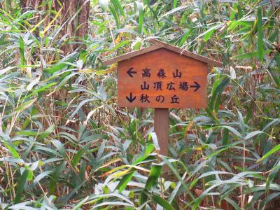 秋の丘との分岐。地図でみてもわかるけど高森山のほうへ